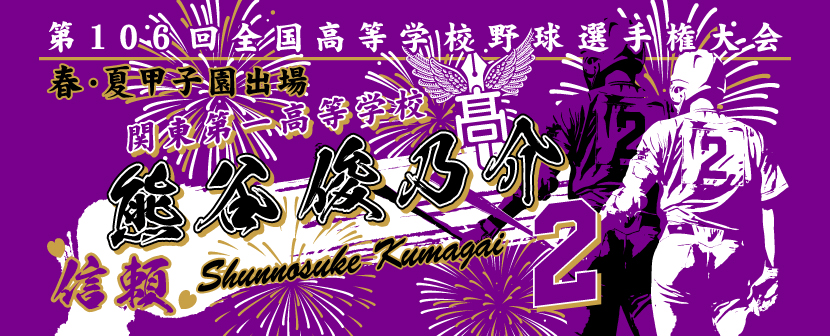 甲子園タオル 甲子園デザイン 紫 金