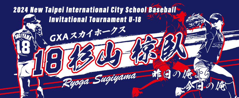 甲子園タオル 甲子園デザイン 紺 赤