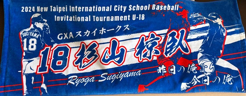 甲子園タオル 甲子園デザイン 紺 赤