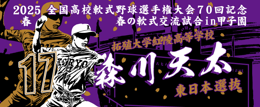 甲子園タオル 甲子園デザイン　紫　黒　金