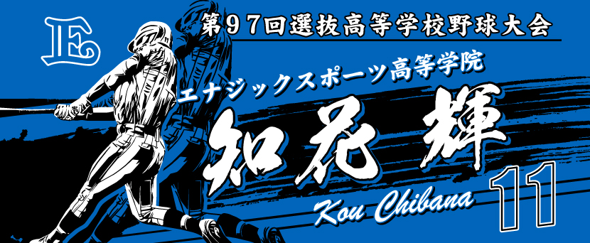 甲子園タオル 甲子園デザイン　青　黒