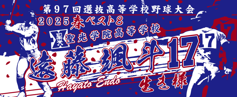 甲子園タオル 甲子園デザイン　青　えんじ